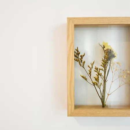 Lindo 2 Quartos Com Patio - Batalha - C Apartman