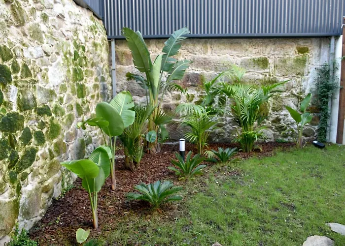 Lindo 2 Quartos Com Patio - Batalha - C Daire *