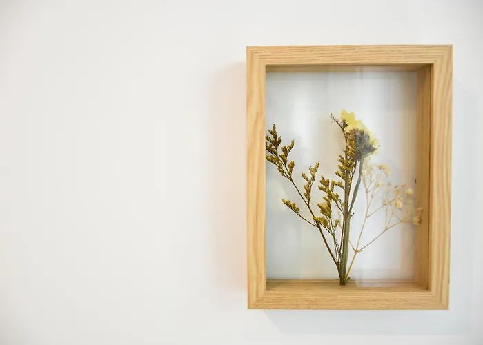 Lindo 2 Quartos Com Patio - Batalha - C 公寓