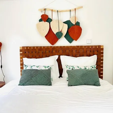 Lindo 2 Quartos Com Pátio - Batalha - C Oporto